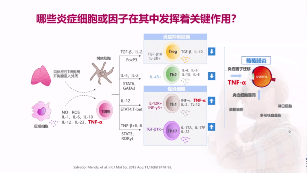 脱毛剂原理