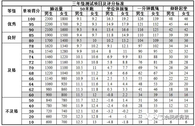 木龙骨检测指标详解